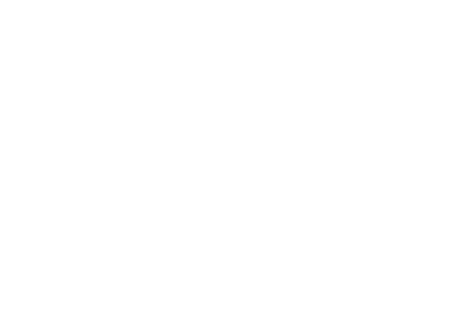 Dr Wogler